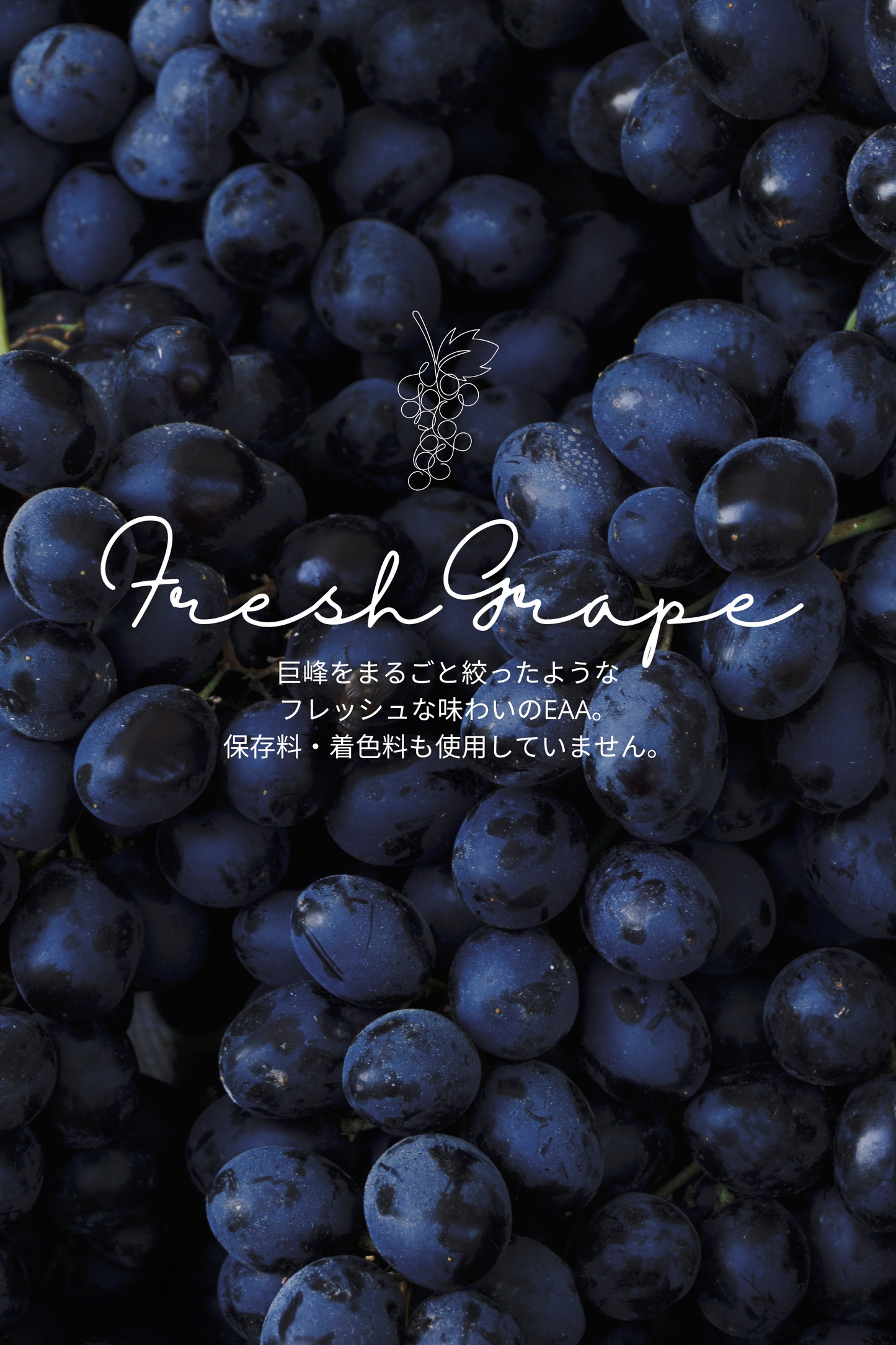 まるごと巨峰くん