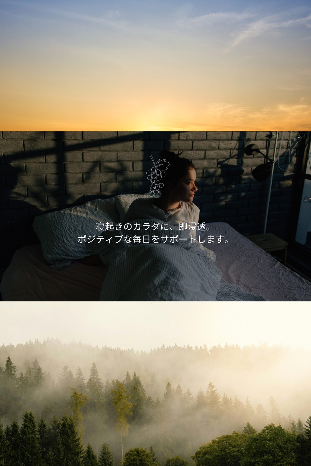 まるごと巨峰くん